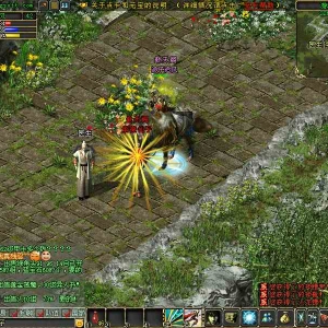 ֮ӻ¼