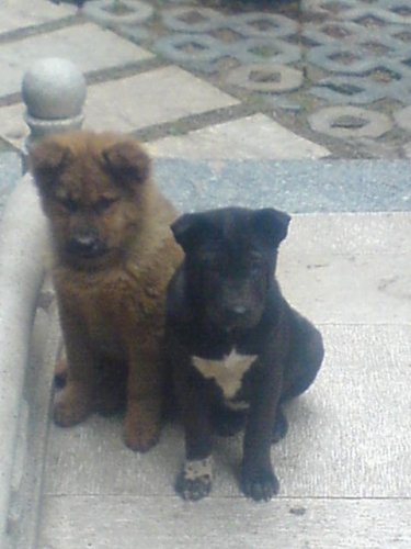 ���˵Ҫ�������ĸ�����һ�������