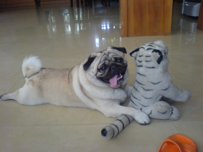 �����ҵ����