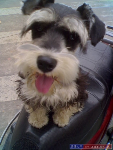 ʷ��ɳ��ѩ����